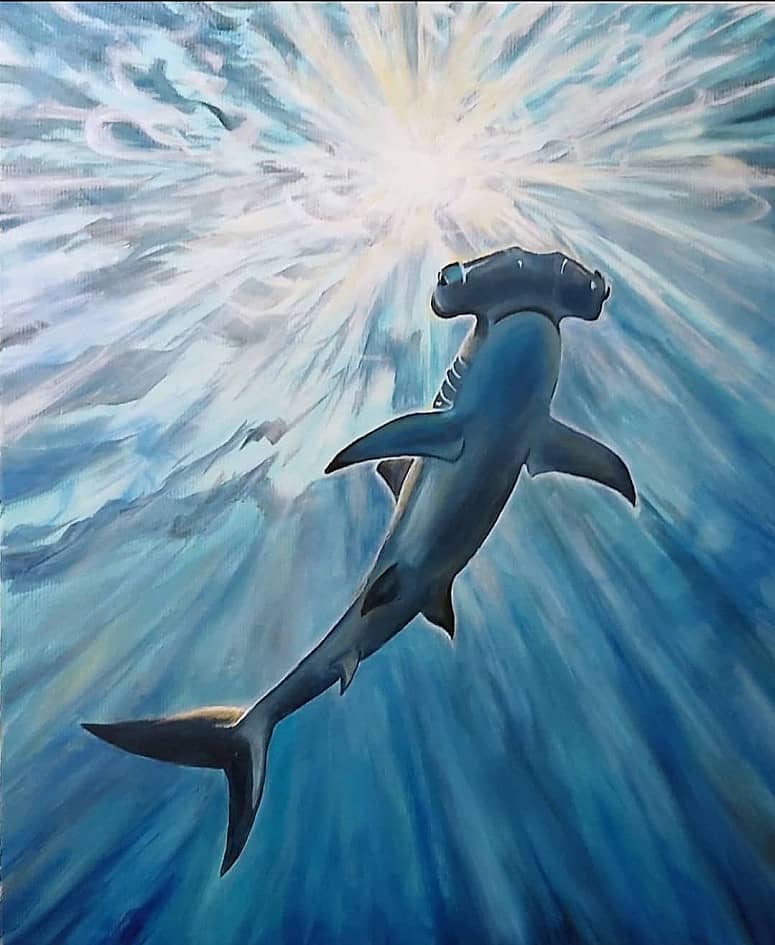 Вперёд и вверх! Акула-молот.