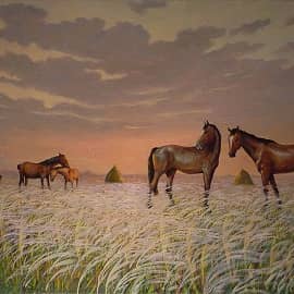 Стель ковыльная