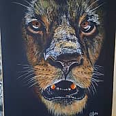 Тьма и тень