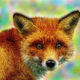 Лисичка Лори