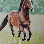 Лошадь на поляне