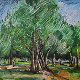 В парке летом