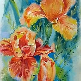 Садоаые цветы