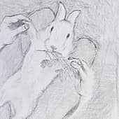 Сельськие радости