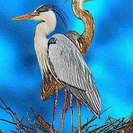 Цапли в гнезде