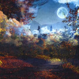 Лунная ночь-2