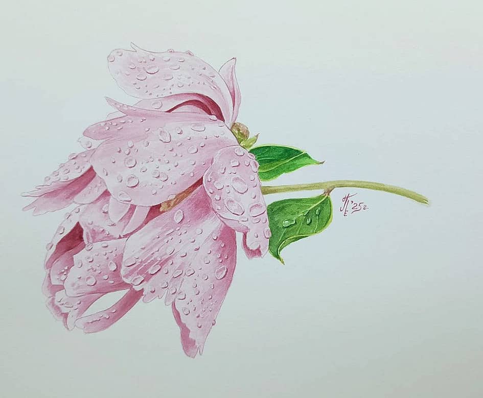 Дождь прошел