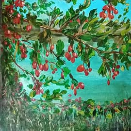 Ветка боярошника