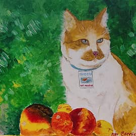 Кот с персиками