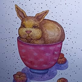 Кролик в чашечке