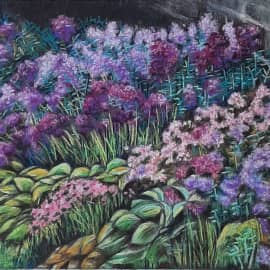 Флоксы и хосты