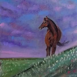 Лошадь на закате