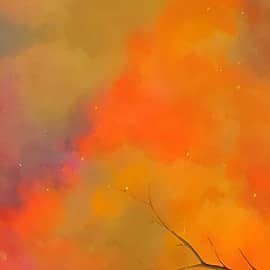 Вид из окна