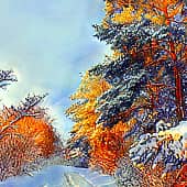 В солнечном свете.