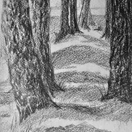 Игра света и тени. Ритм