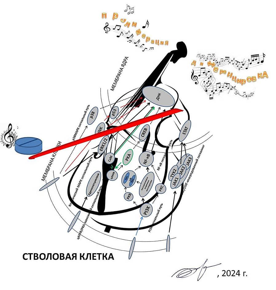 Музыка стремления клетки к жизни (вызванная рукой врачевателя)