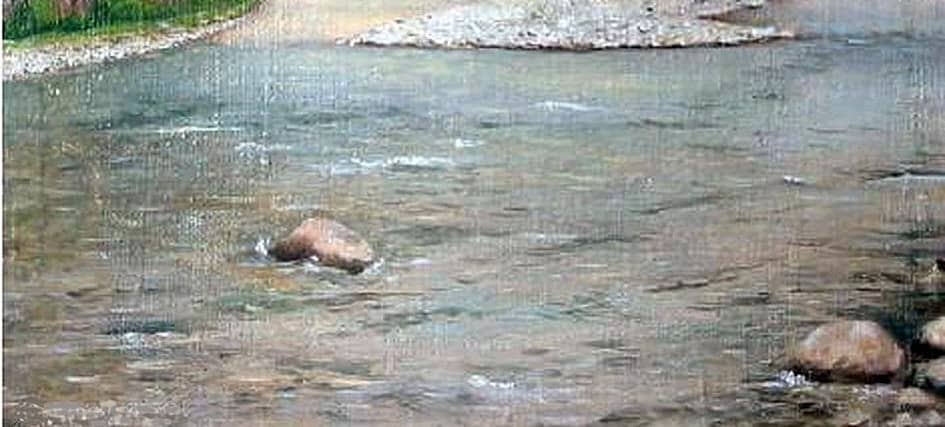 Катунь у Тюнгура 2  Katun River near Tungur 2