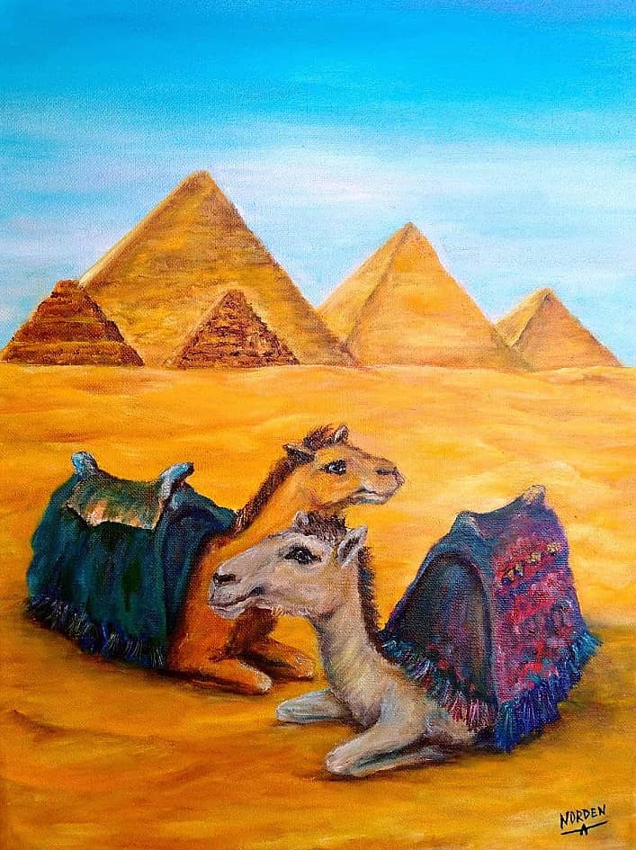 Египет. Верблюды.