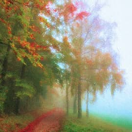 Туманы осенние.