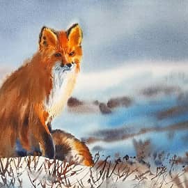 Лиса Пенелопа