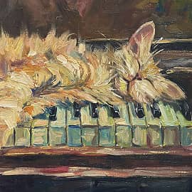 Ушастый любитель музыки