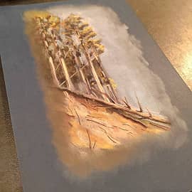 о. Цапельный