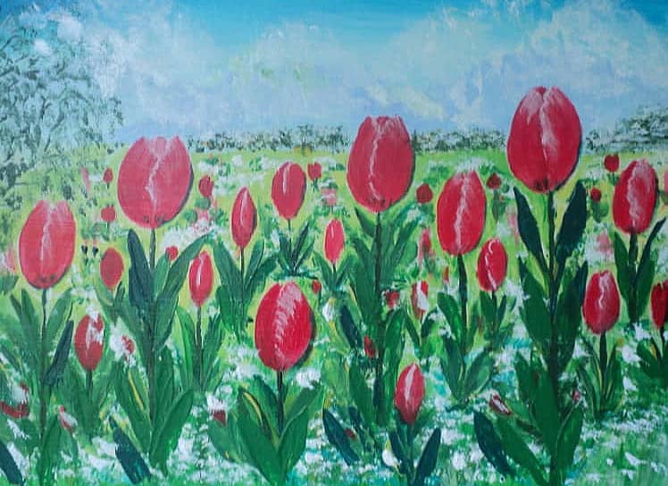 Луговые тюльпаны