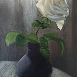 Роза в кувшине.