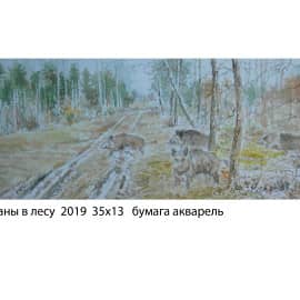 Кабаны в лесу  2019  35х13   бумага акварель