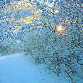 Утро нового дня.