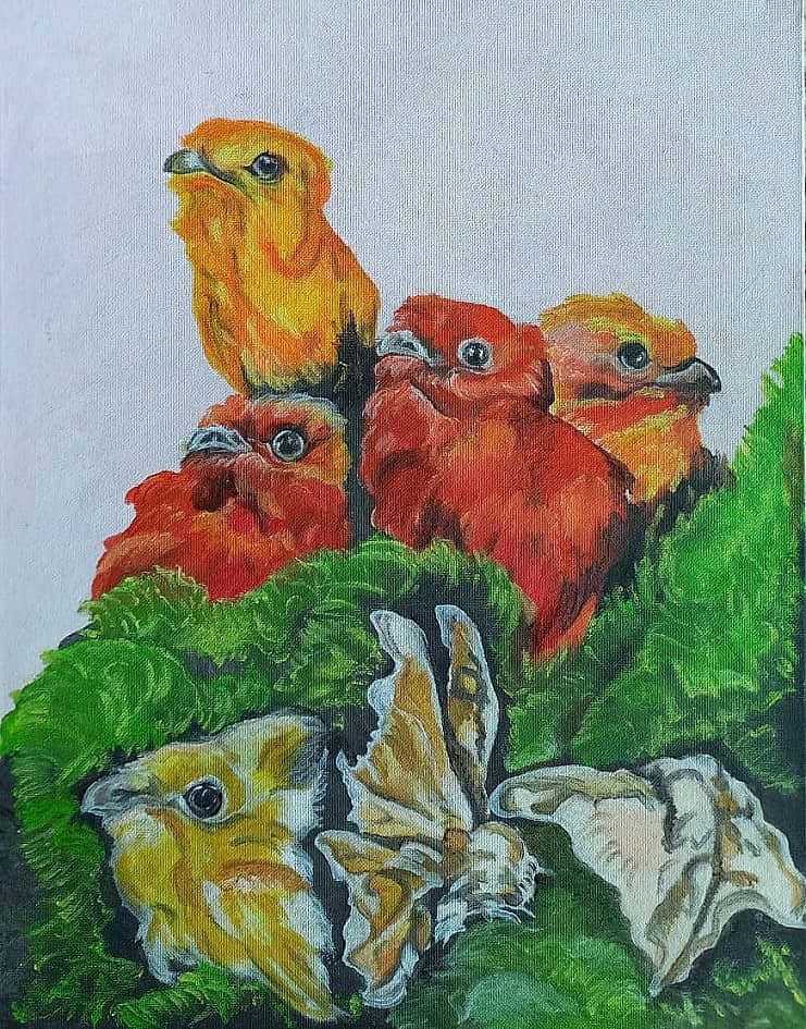 Сон о птицах.Пробуждение.