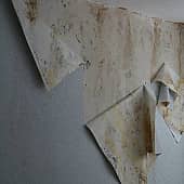 обои (1), художник Сергей Куценко