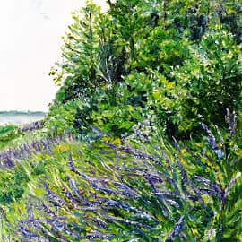 Цветет мышиный горошек.