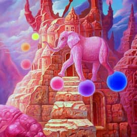 Восхождение розовых слонов