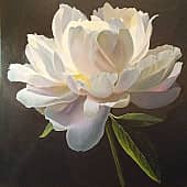 Лунный пион (1), художник Evgeniia Nalitova