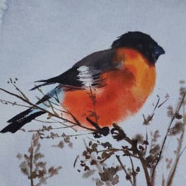 Снегирь, открытка