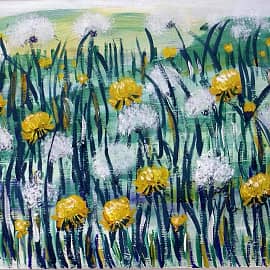 Поле одуванчиков