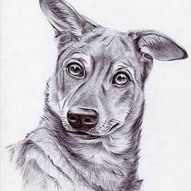 Графика и рисунок