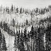 Тёмный лес (3), художник Карина Андреева