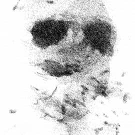 Конг: Остров черепа, фильм tribute