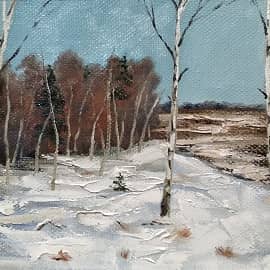 Первый снег