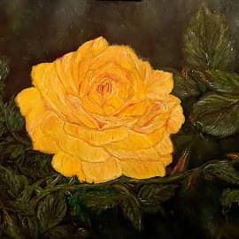 Роза (проба написать маслом)