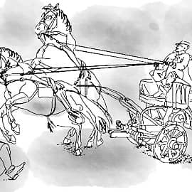 Из-под копыт