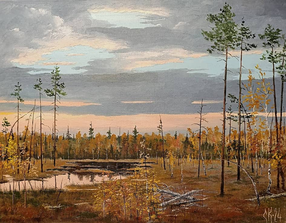 Осень на болотах Кузьнюр