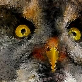 Совсем замёрзла