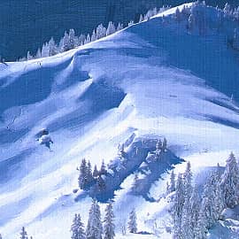 Ели в снегу