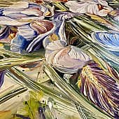 Цвет северного ветра. ИРИСЫ. (1), художник Чернова Ольга