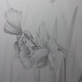 Нарцисс и фея