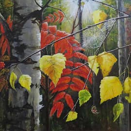 Солнечная паутинка осеннего леса