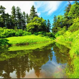 Тихая заводь